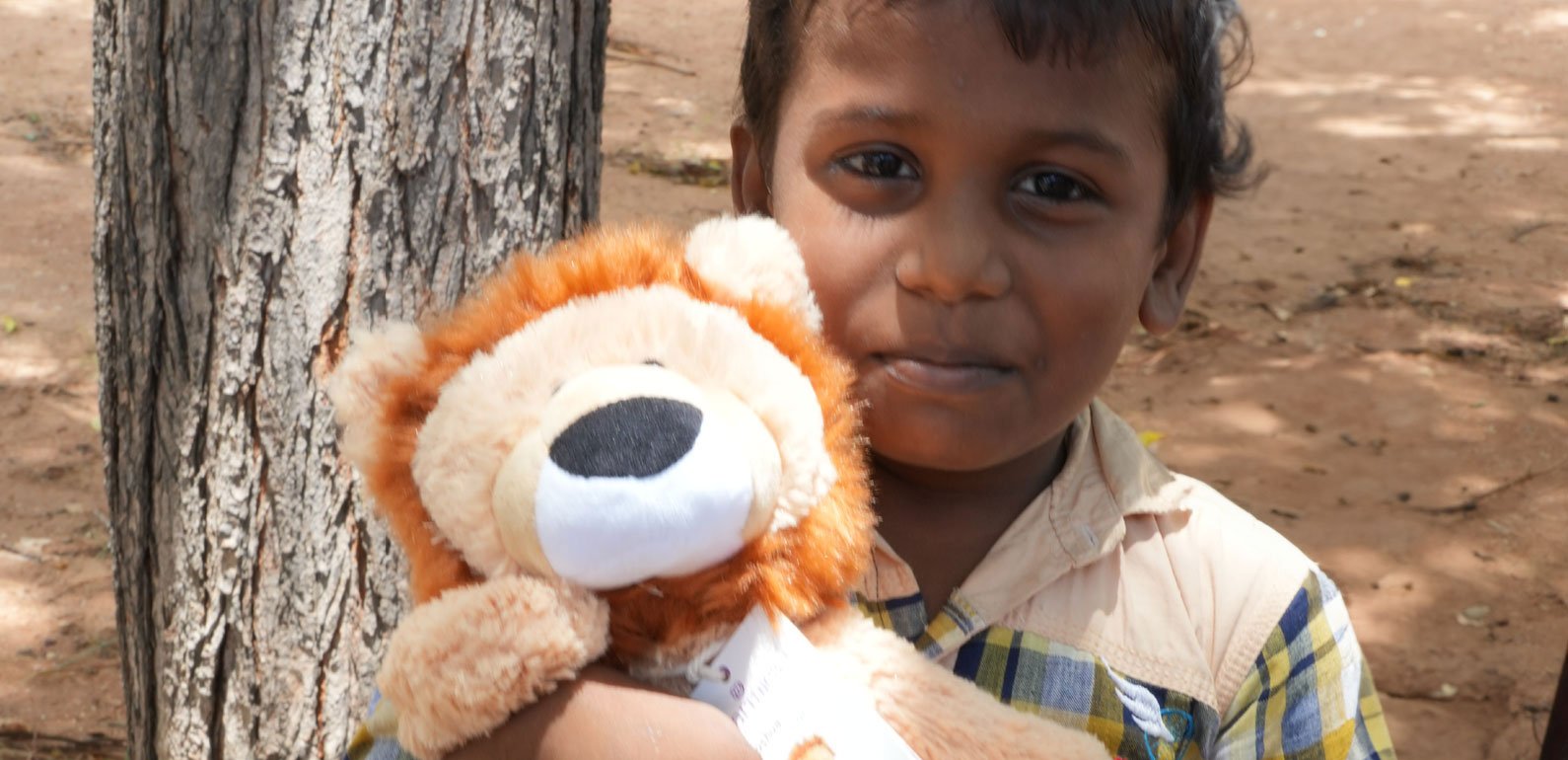 Sri Lankan boy with lion teddy