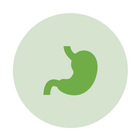Enteral Feeding and Digestion icon as a stomach