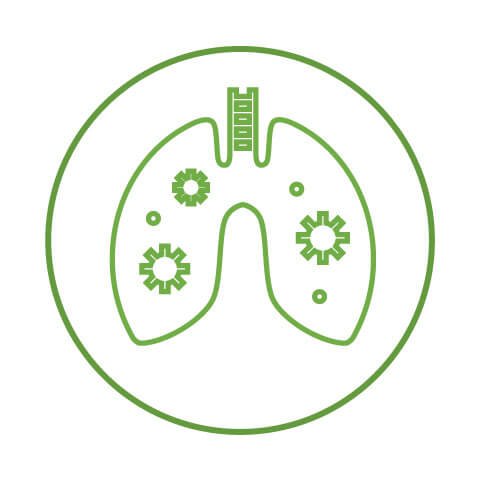 A&P Respiratory System icon of lungs and cogs